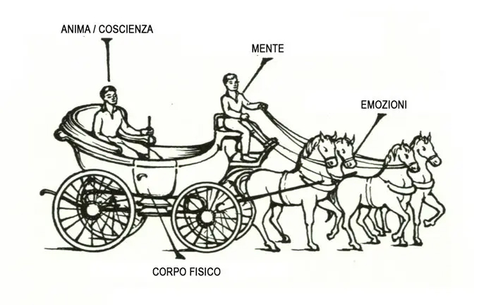 la metafora della carrozza di Gurjieff